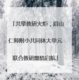 共擎教研火炬，眉山仁师附小共同体大单元联合教研燃情启航